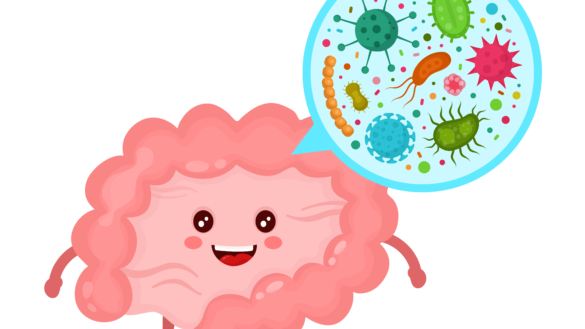 Tarmfloran ger ledtrådar för diabetesbehandling